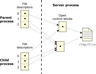 Figure showing a process using the dup() function