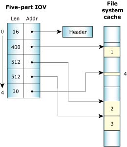 5-part IOV